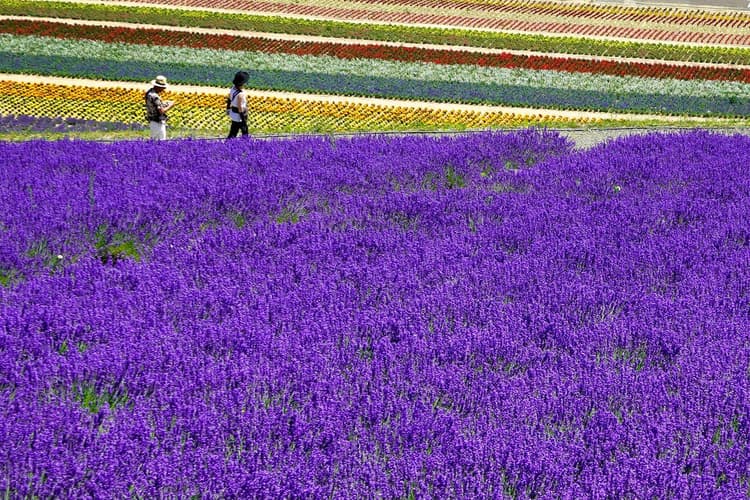 北海道